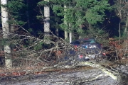 Verkehrsunfall Bayerbacher Forst
