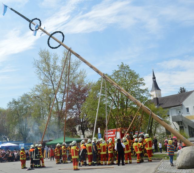 Maibaum2017 03